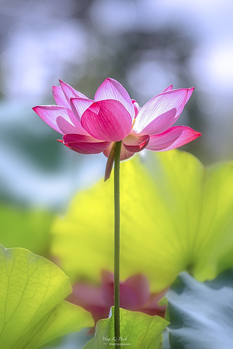 131_3625-F-s-Summer 2024-6.jpg