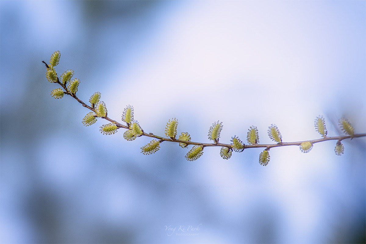 120_9377_80-st-s-At spring-11.jpg