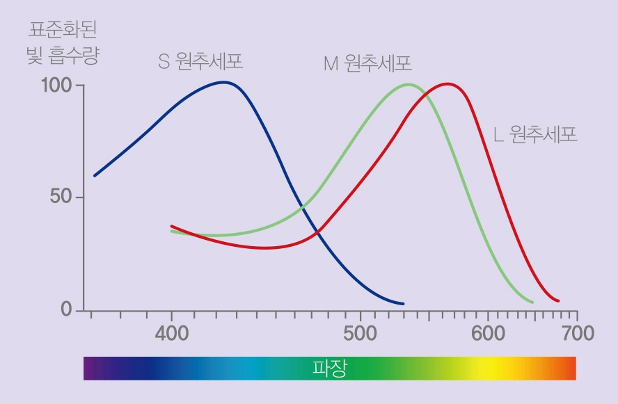 색인지 곡선.jpg