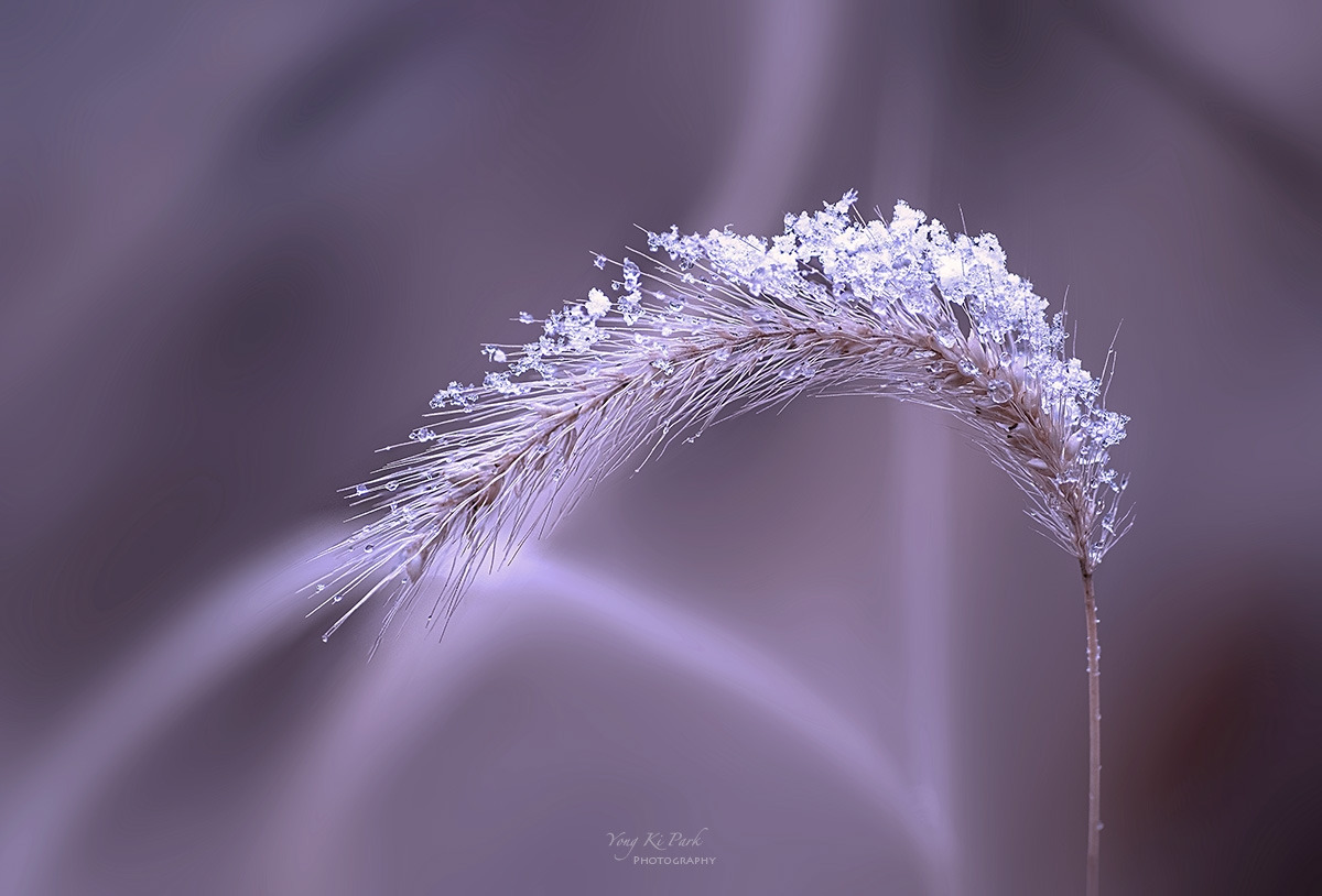 133_7333-37-st--s-Winter story-8.jpg