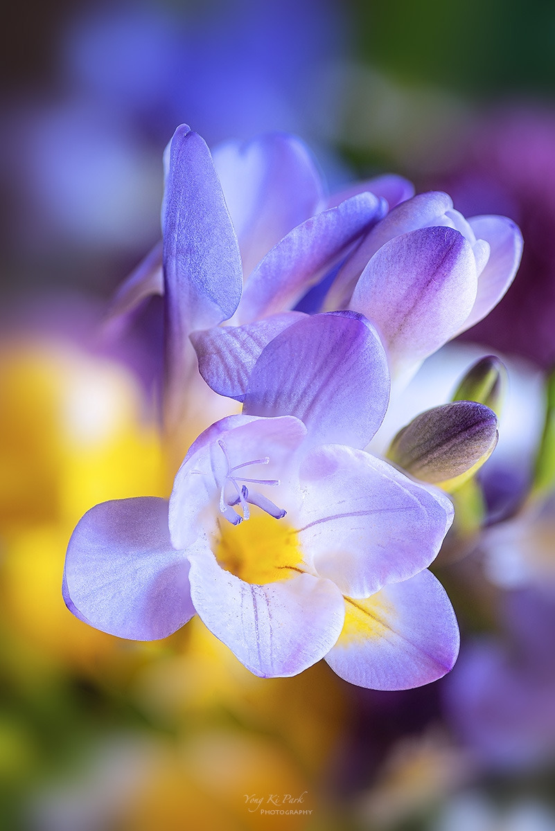 124_2509-24-st-s-Spring again-14.jpg