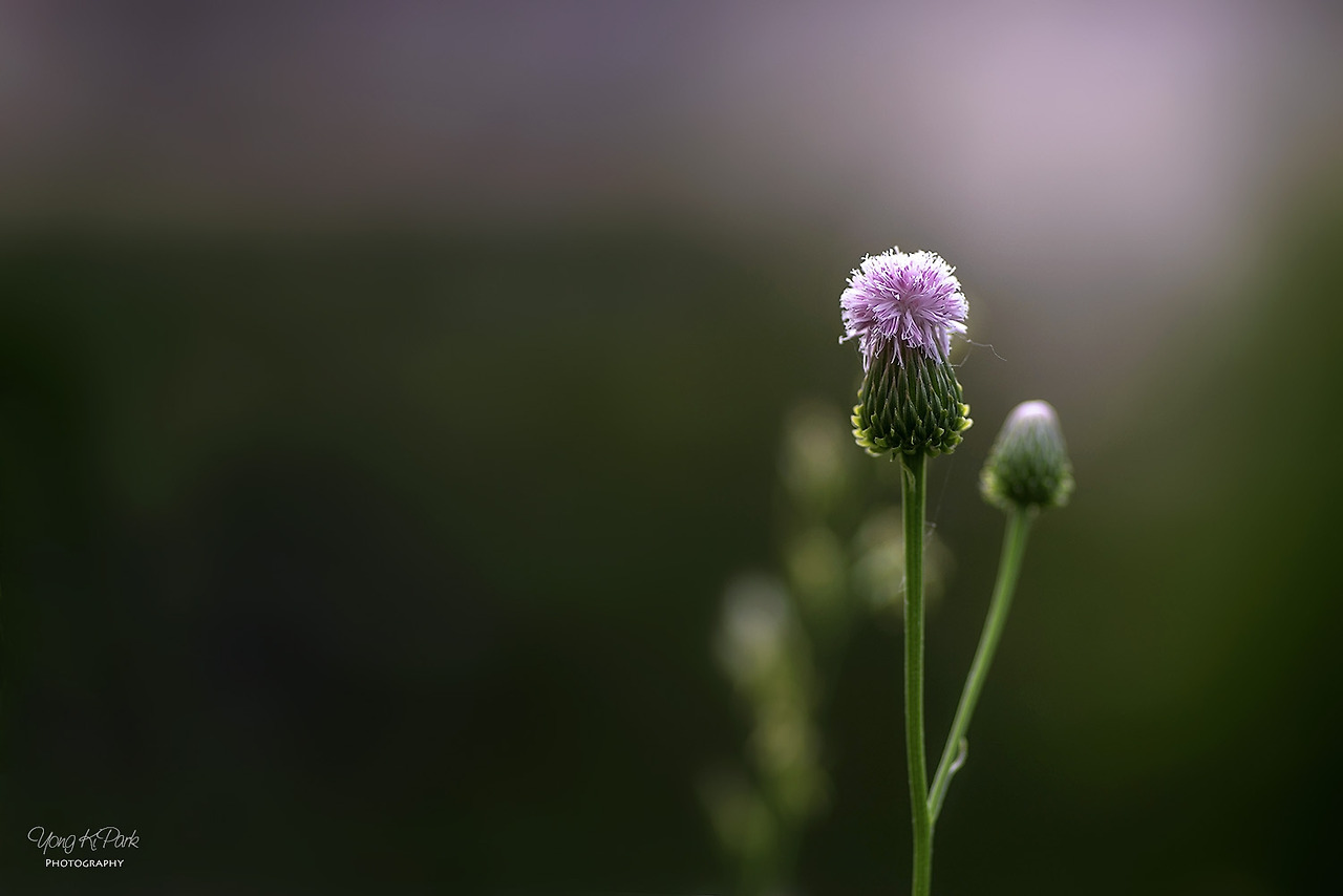 114_0062-s-May 2019-8-Farewell.jpg