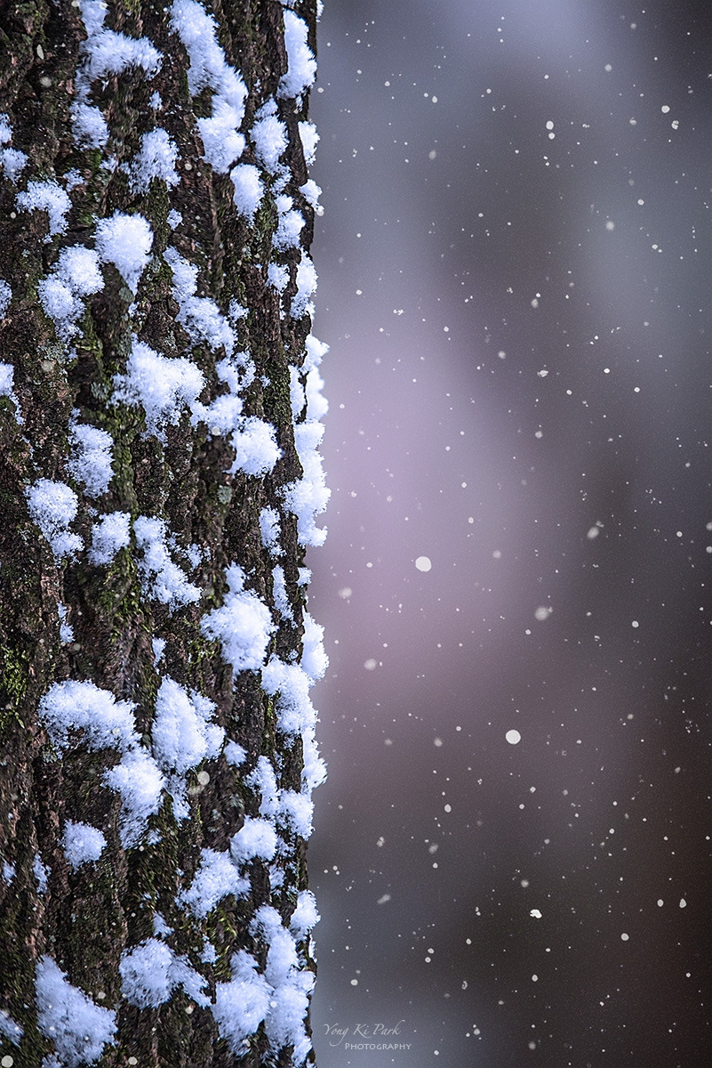 133_5425-30-st-s-Winter story-13.jpg