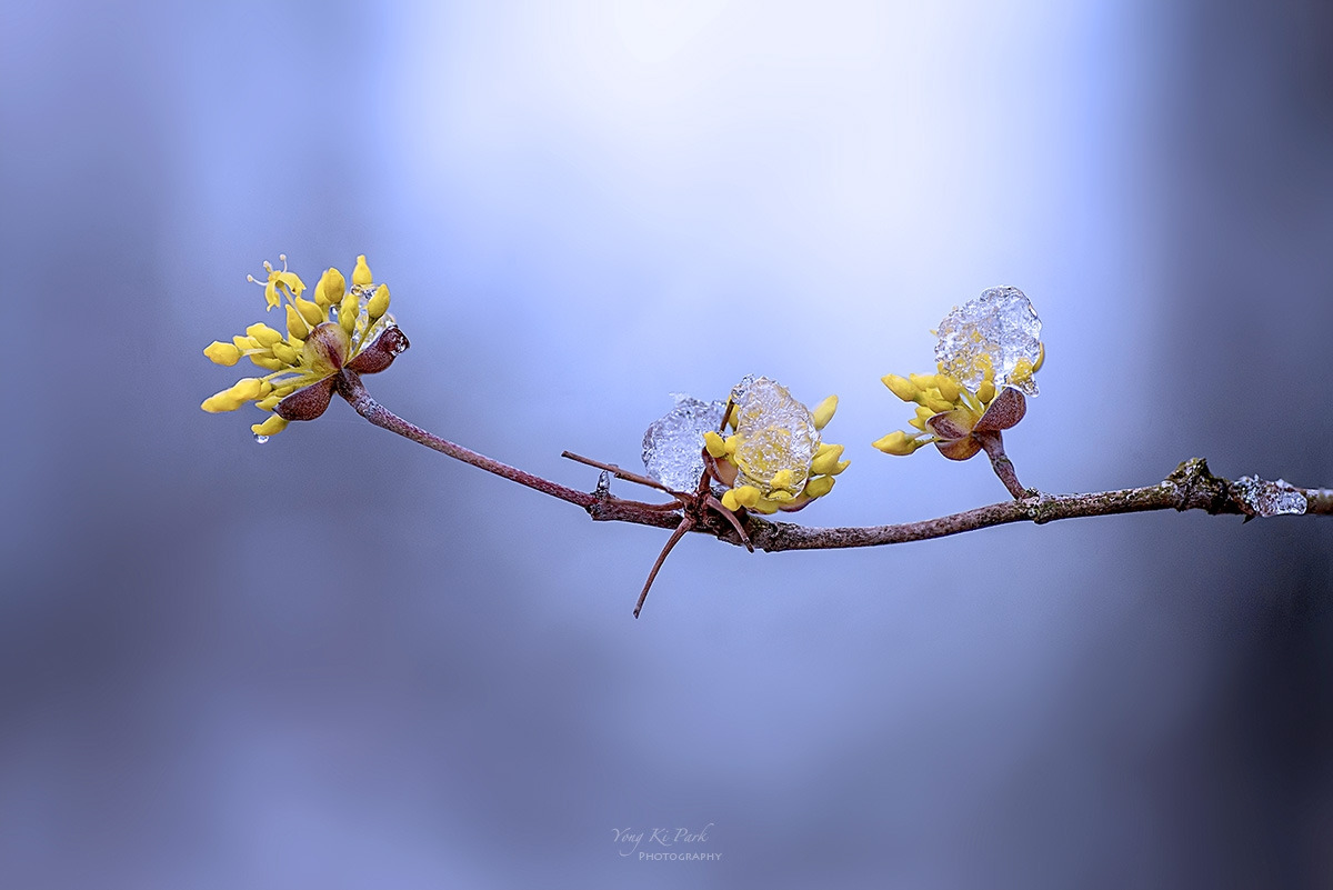 134_2012-18-st-s-Spring snow-2025-5.jpg