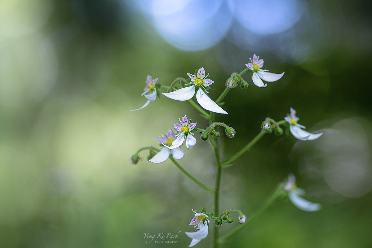 121_4765_66-st-s-Where my eyes-22.jpg