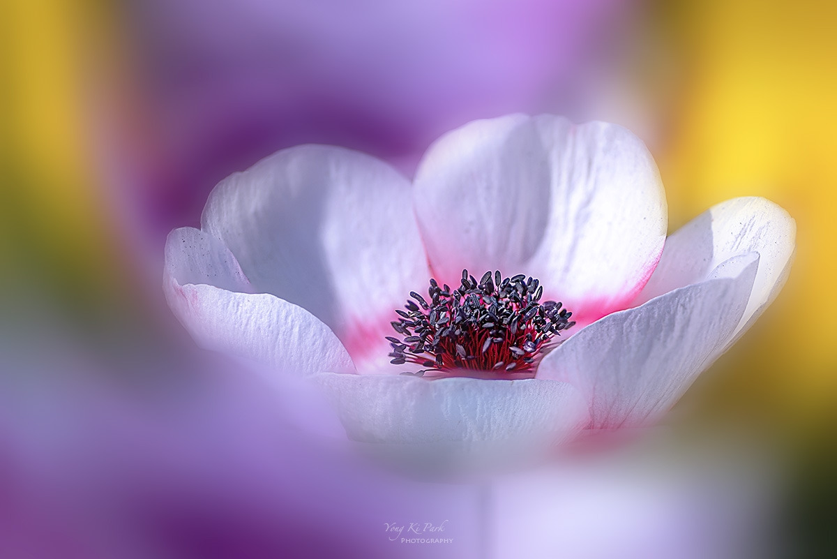 134_2984-89-st-s-Spring that came to me-21.jpg