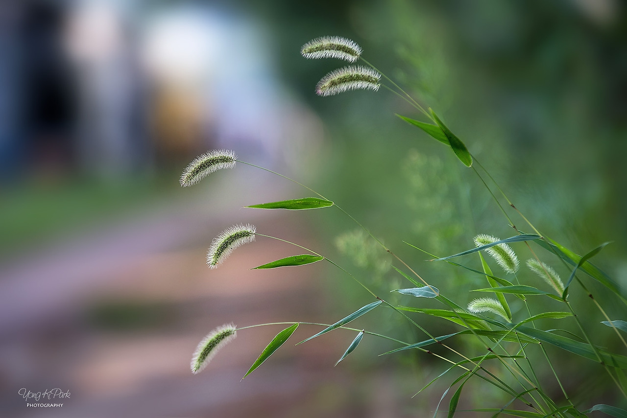 115_3137-s-A precious moment of autumn-15.jpg