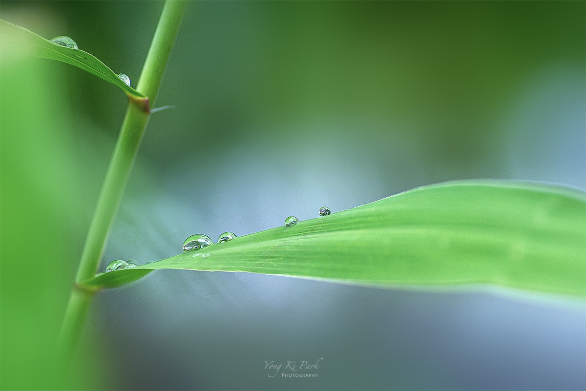 121_9311-18-st-s-Made in nature-22.jpg