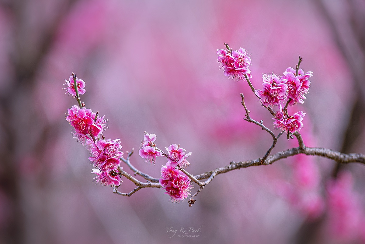 120_8897-c-s-At spring-3.jpg