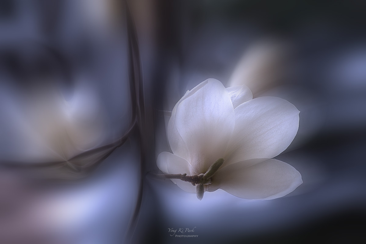 129_0466-69-st-m-s-Spring spring 2024-7.jpg