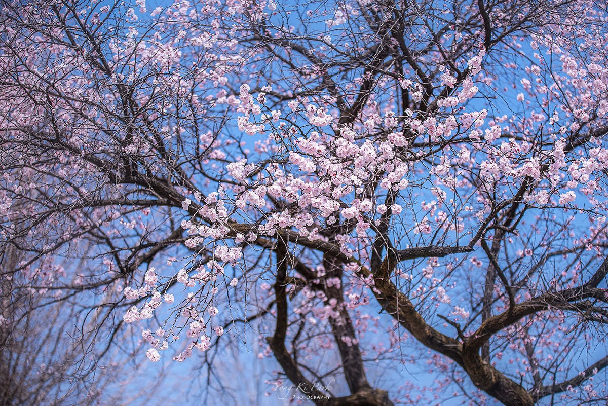 120_9121-s-At spring-9.jpg