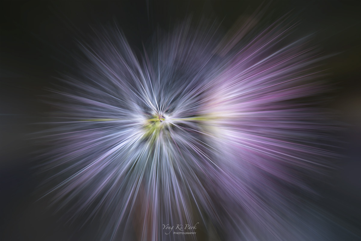 121_7108-09-st-m-s-Summer garden-29-3.jpg