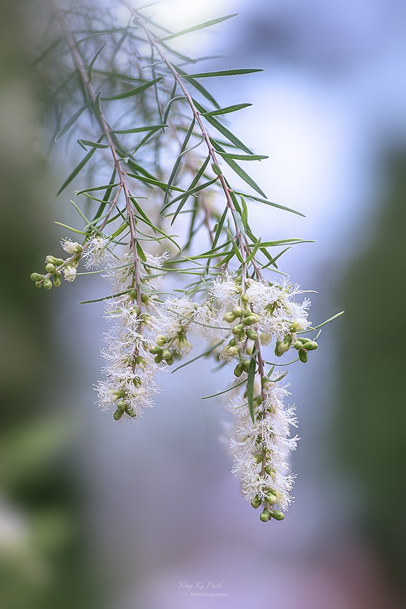 133_8716-22-st-s-Waiting for spring-2025-14.jpg