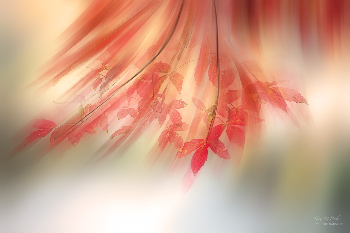 137_9186-88-st-m-1-s-Autumnal lyricism-20.jpg