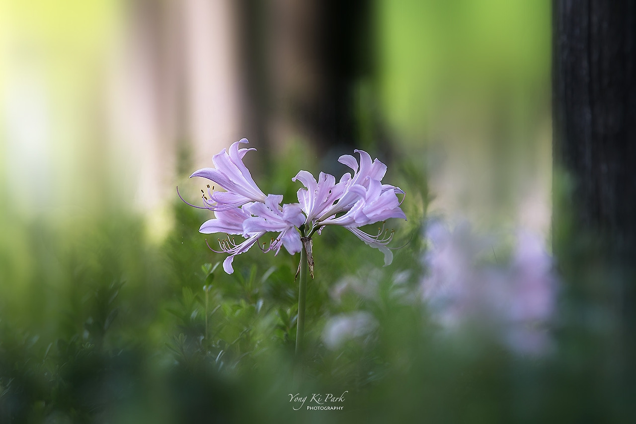 114_7849-m-s-Let summer go-5.jpg