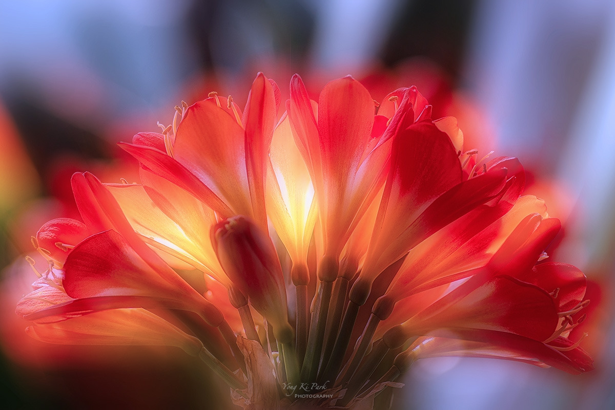 134_2918_23-st-c-s-Spring that came to me-6.jpg