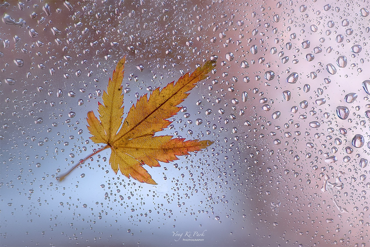 120_0450-56-st-s-Autumn 2021-4.jpg