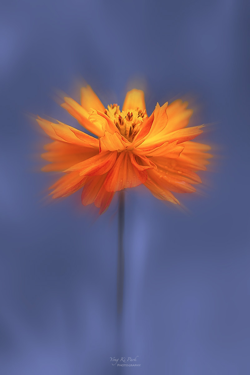 136_8923-28-st-m2-s-Where the Seasons Meet-4.jpg