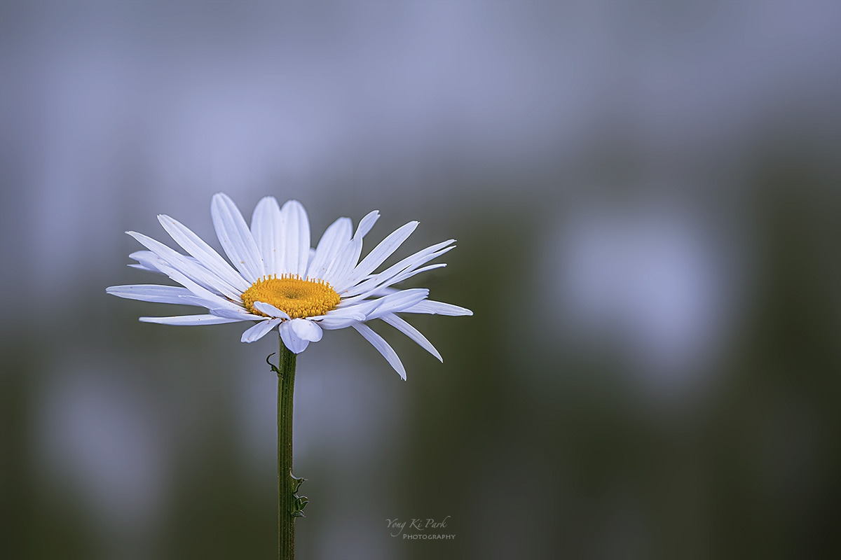 135_6874-78-st-m-s-A journey on a spring day-6.jpg