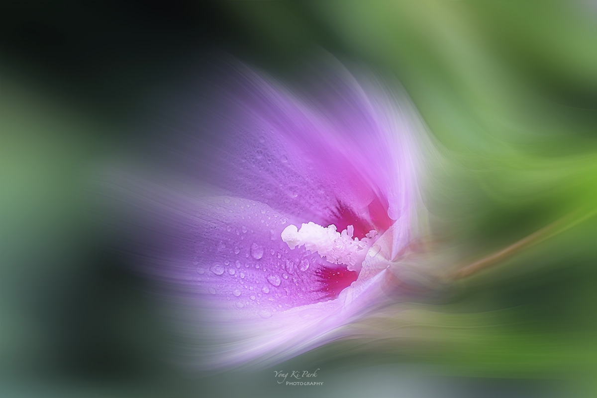 126_5145-55-st-m-2-s-A rainy day-13-2.jpg