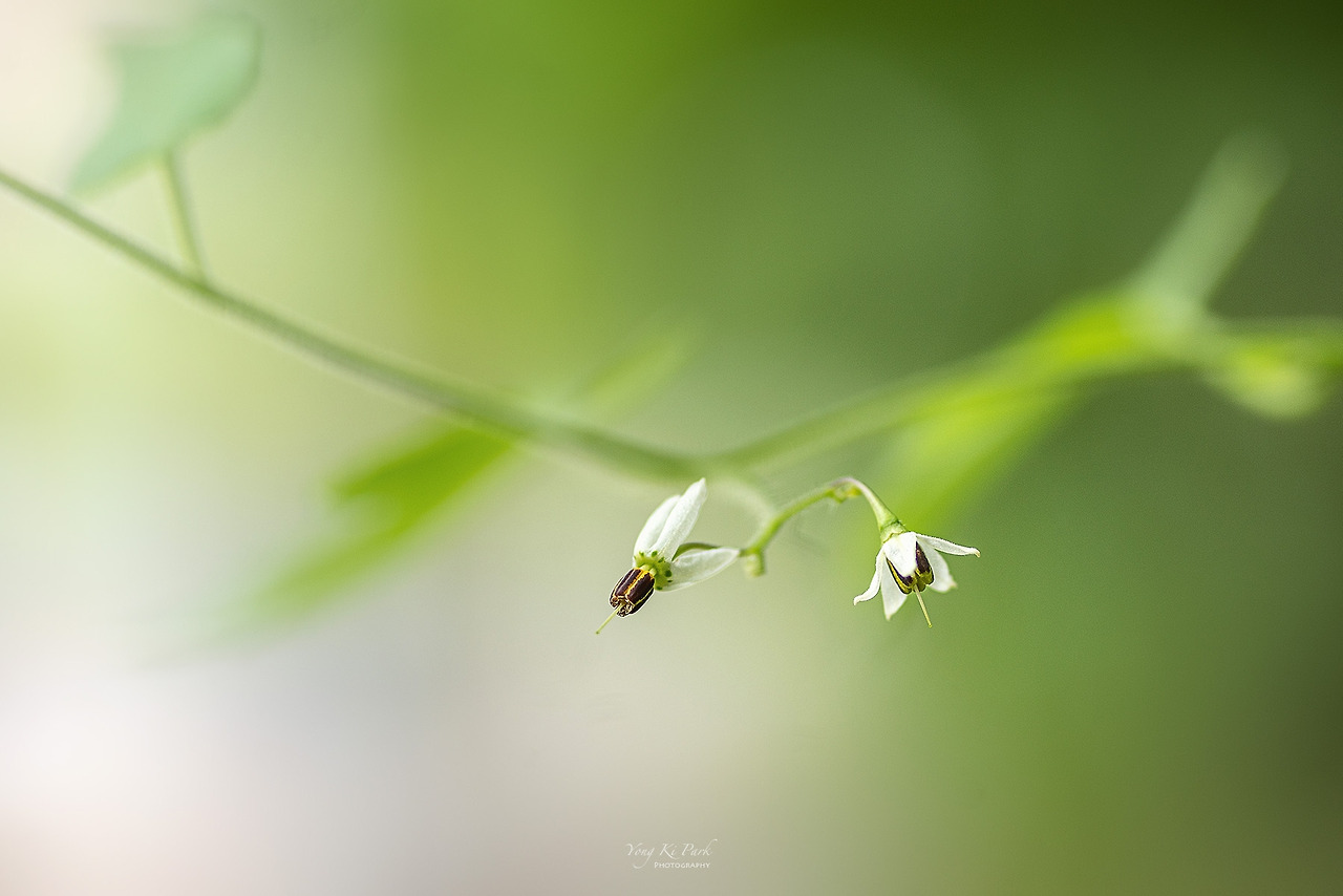 121_9518-s-Made in nature-21.jpg