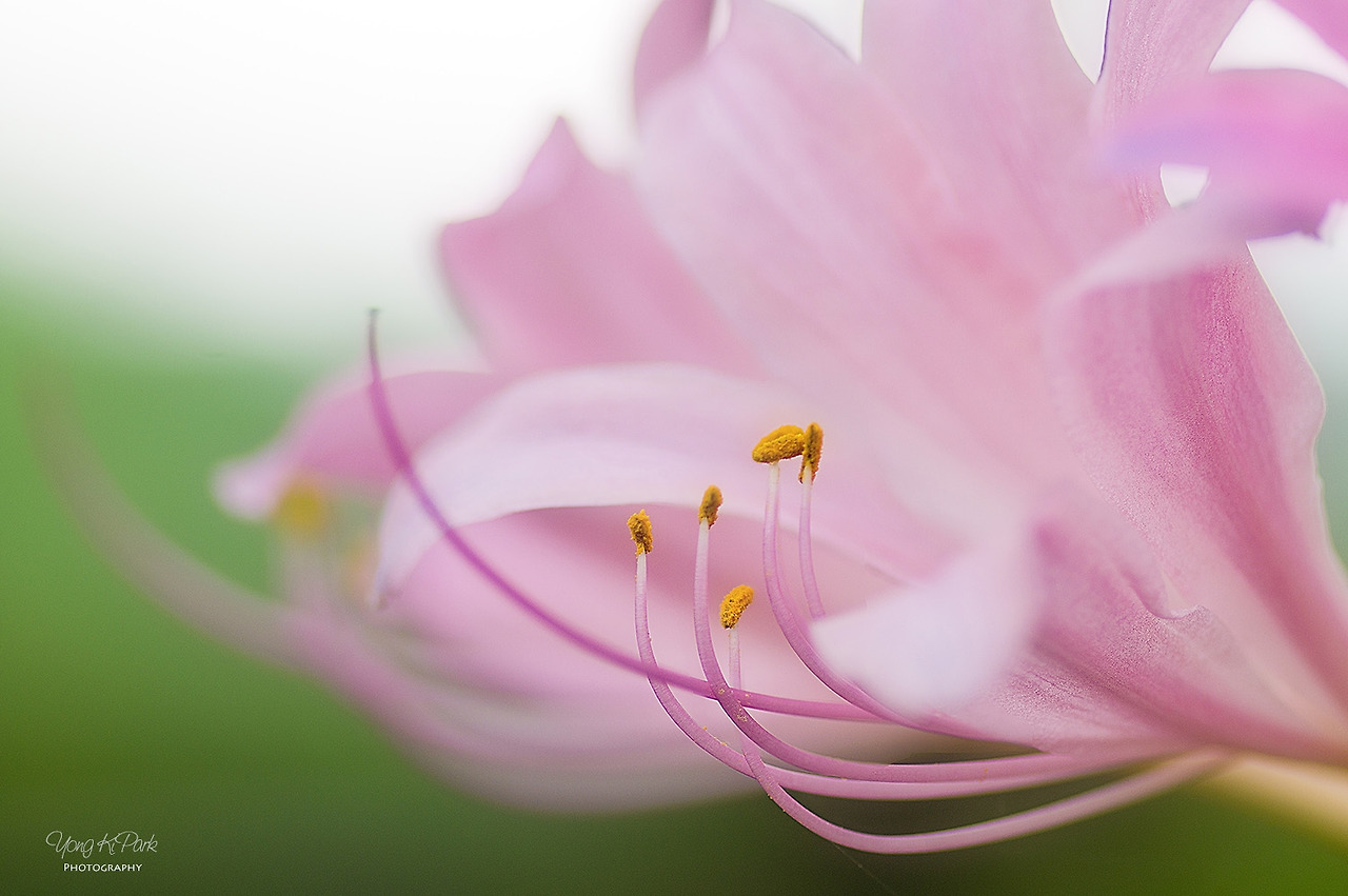 303_3062_63-st-s-Longing for resurrection.jpg