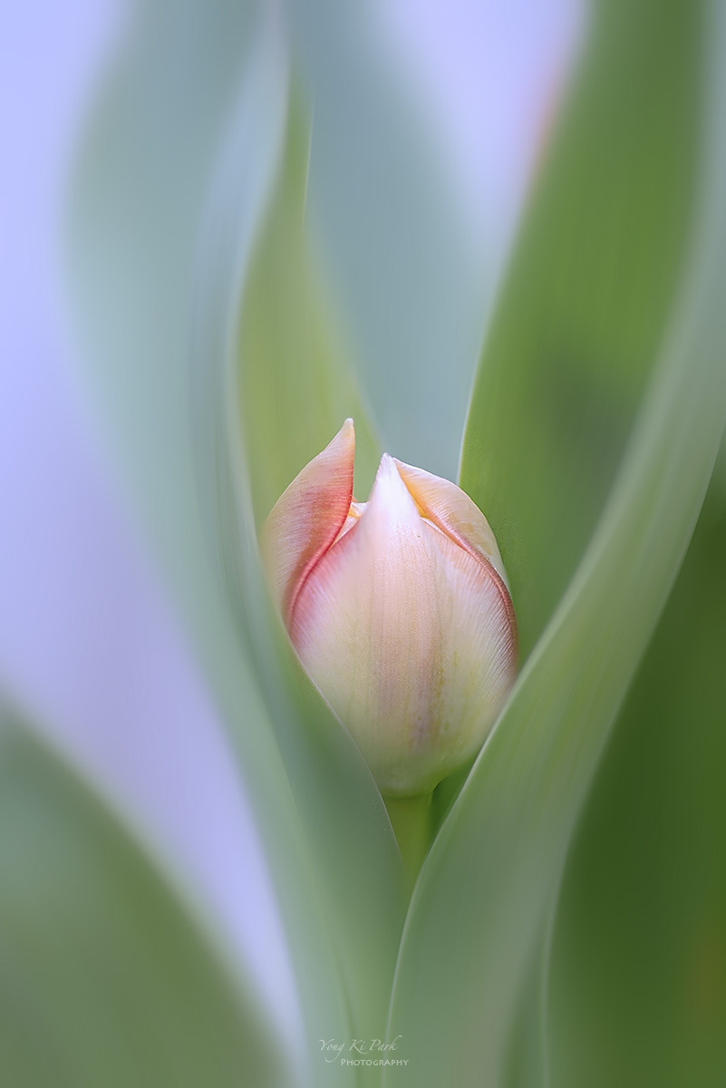 129_0989-92-st-m-s-Spring spring 2024-11.jpg