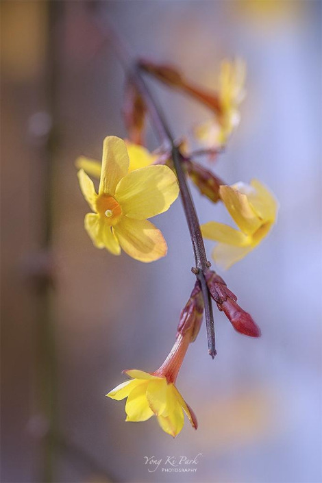 120_7469_70_71-st-s-It's spring-7-1.jpg