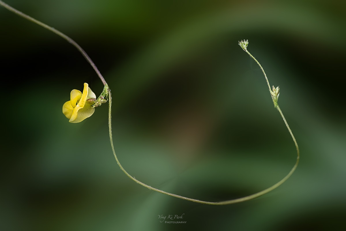 132_0121-25-st-s-Feelings of autumn-8.jpg