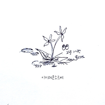 KakaoTalk_Photo_2025-08-13-00-58-43 002.jpg