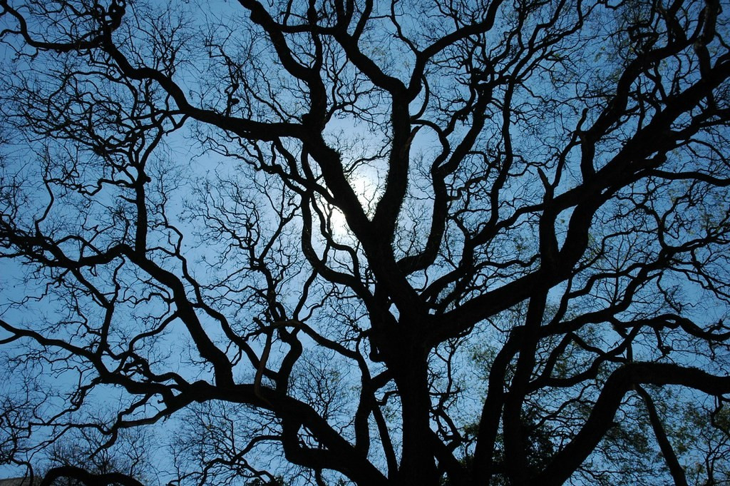 Screenshot 2020-10-08 at 12.47.07.jpg