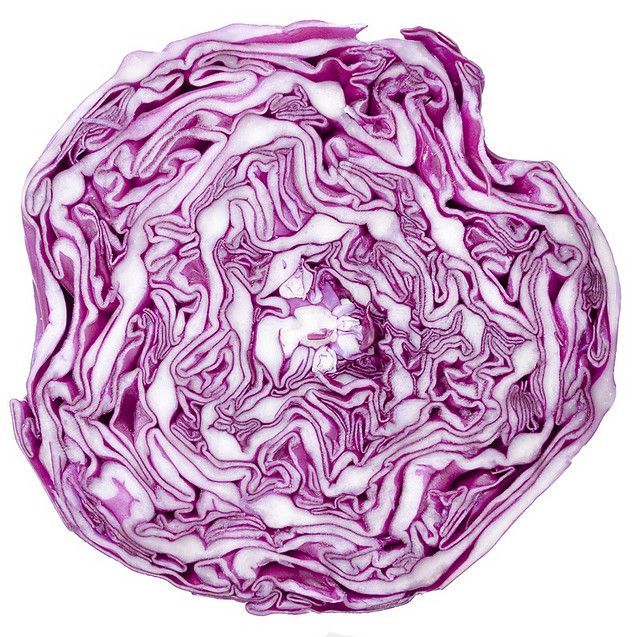 Red Cabbage.jpg