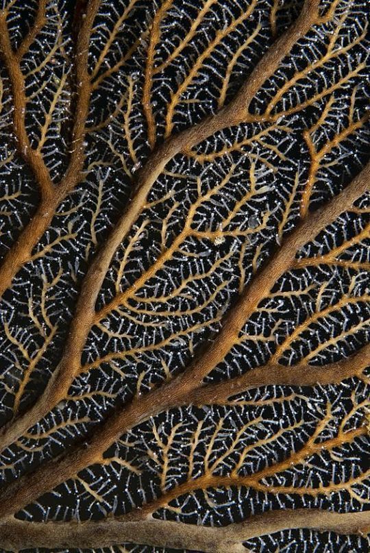 Every detail counts in regards to the decoration of our house and the texture of… - Modern.jpg