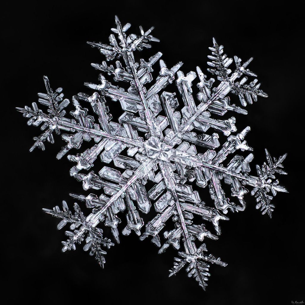 Snowflake-a-Day #5.jpg