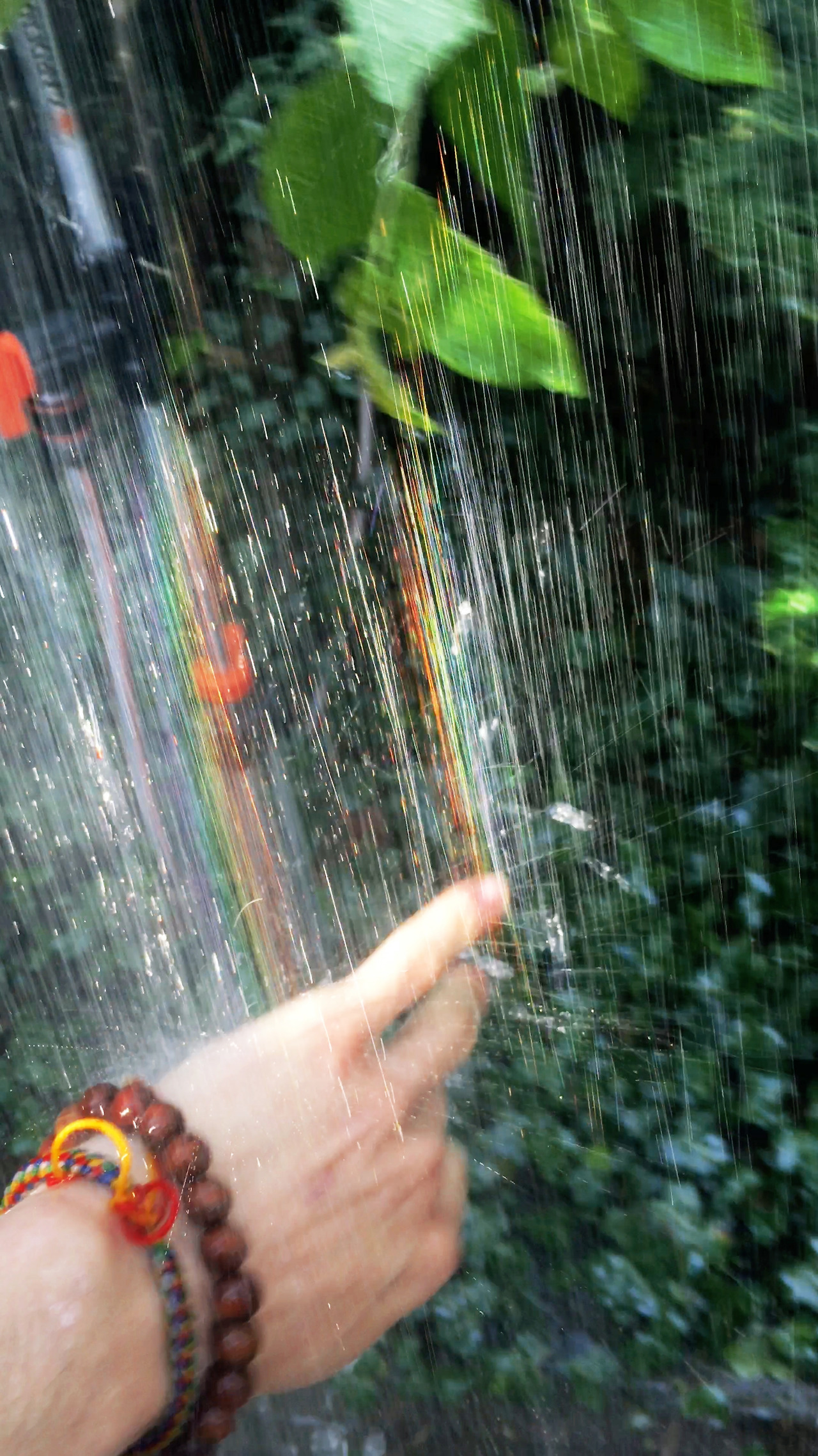 IMG_3004.00_00_14_18.스틸 003 (.jpg