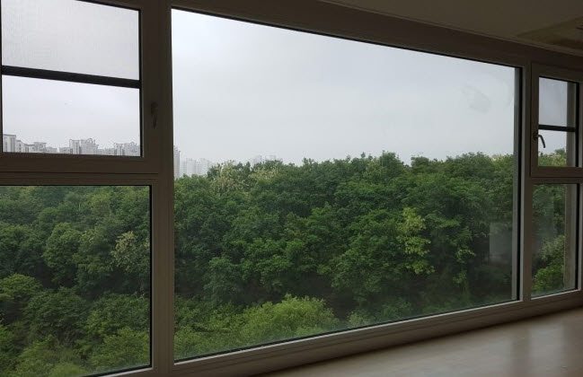 사본 -commonCAK9KY31.jpg