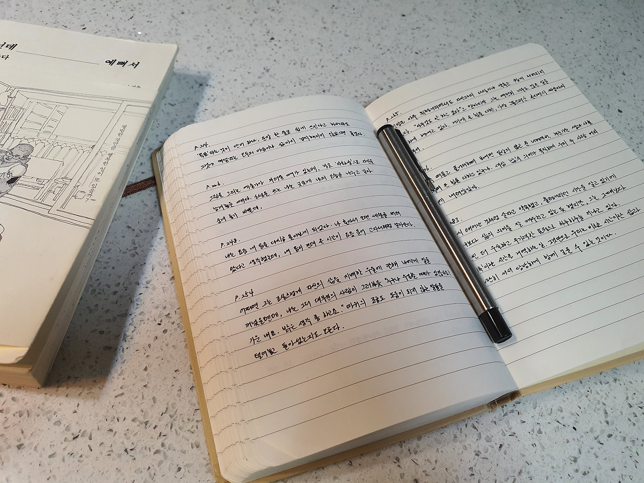 노트 필기 필사 메모 만년필 옮겨적기.jpg