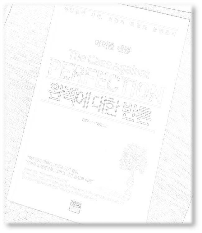 완벽에 대한 반론.jpg