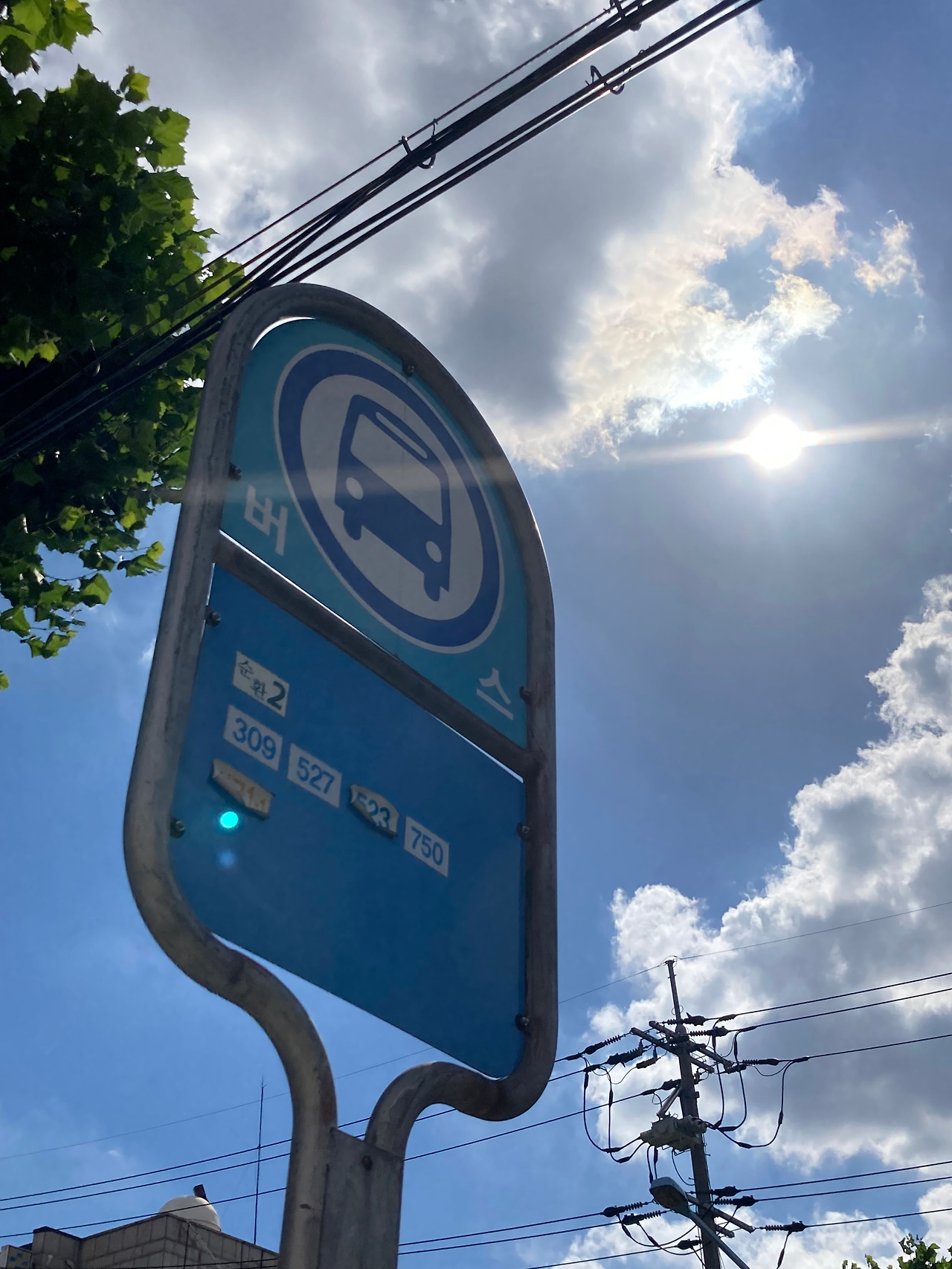 무더운 날씨.jpg