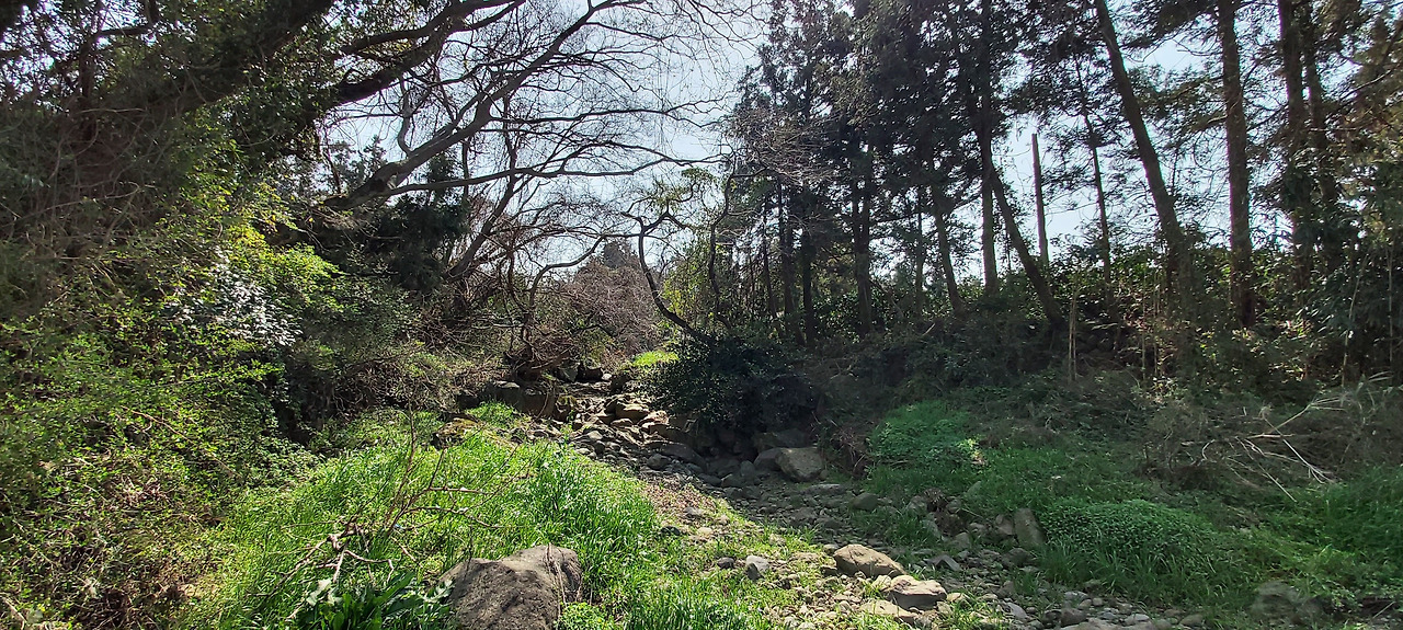 2.서천암지 옆 건천.jpg