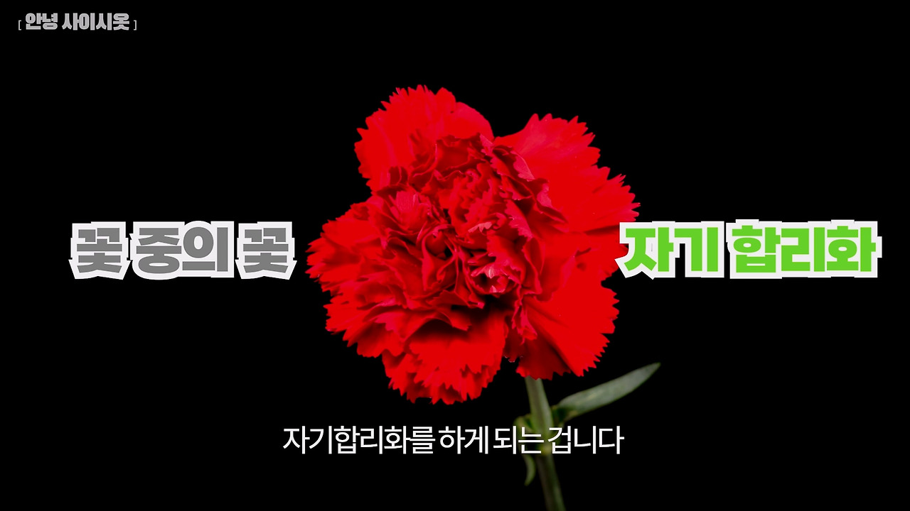 사이비 2.mp4_20230514_165001.134.jpg