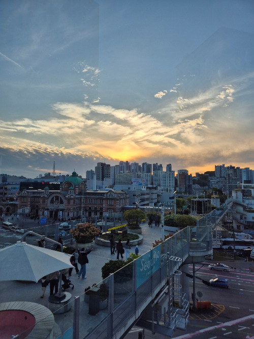 프롤 본문 이미지.jpg