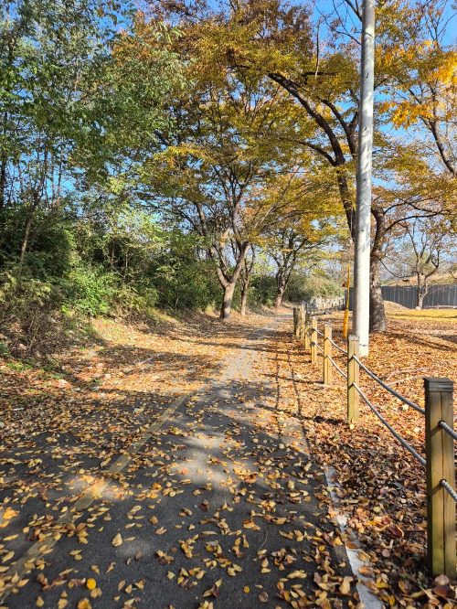 8.본문 이미지.jpg