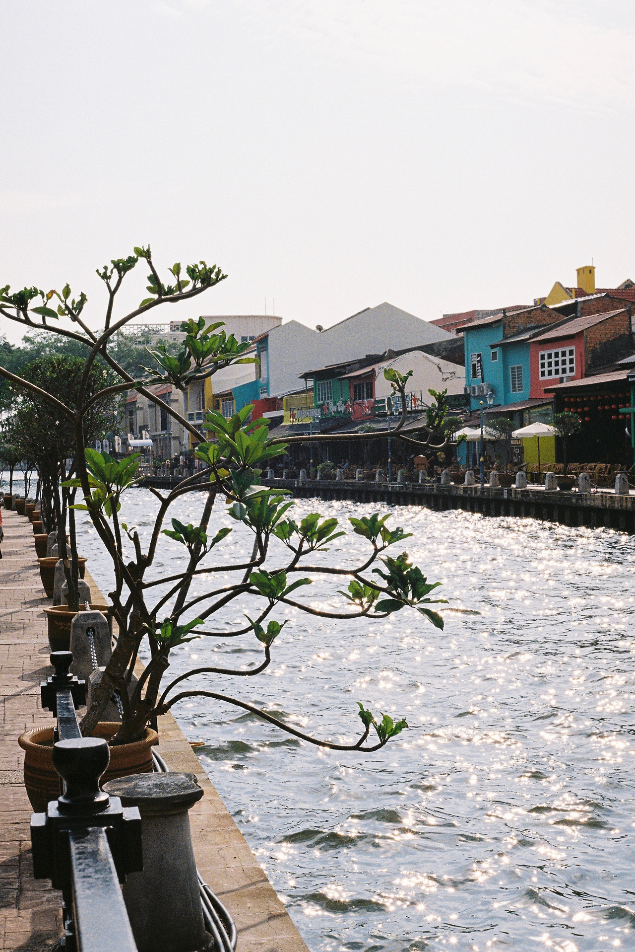 KODAK GC400 (11).jpg