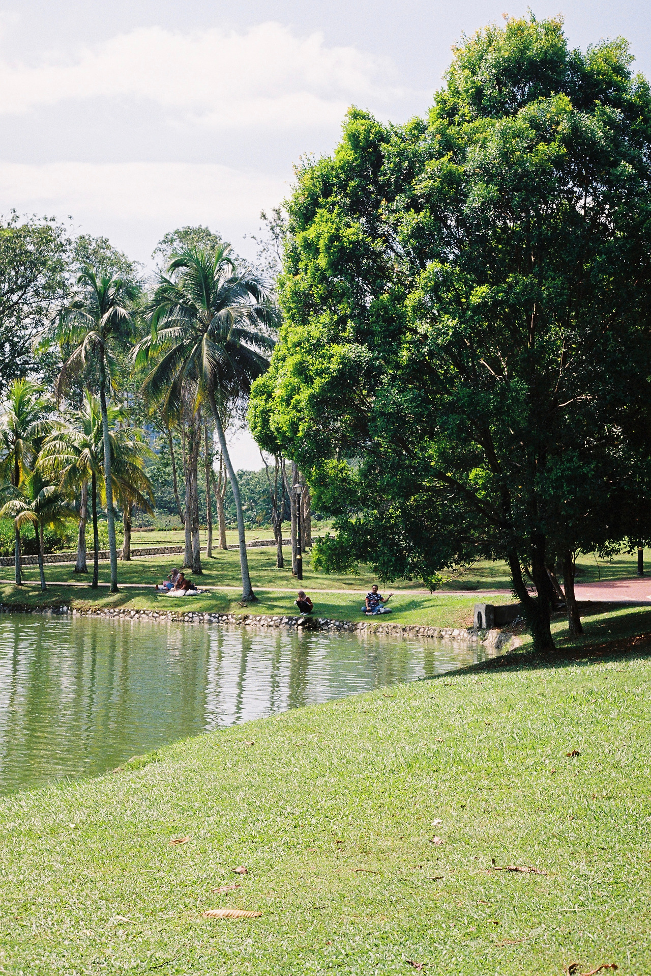 KODAK GC400 (43).jpg