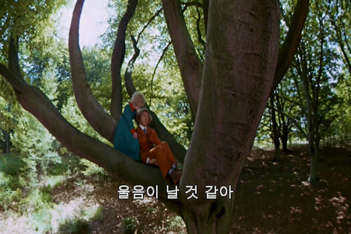 THE_LITTLE_PRINCE - D__VIDEO_TS_20200524_234442.622.jpg