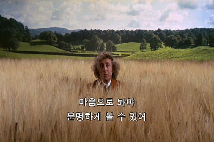 THE_LITTLE_PRINCE - D__VIDEO_TS_20200524_234615.675.jpg