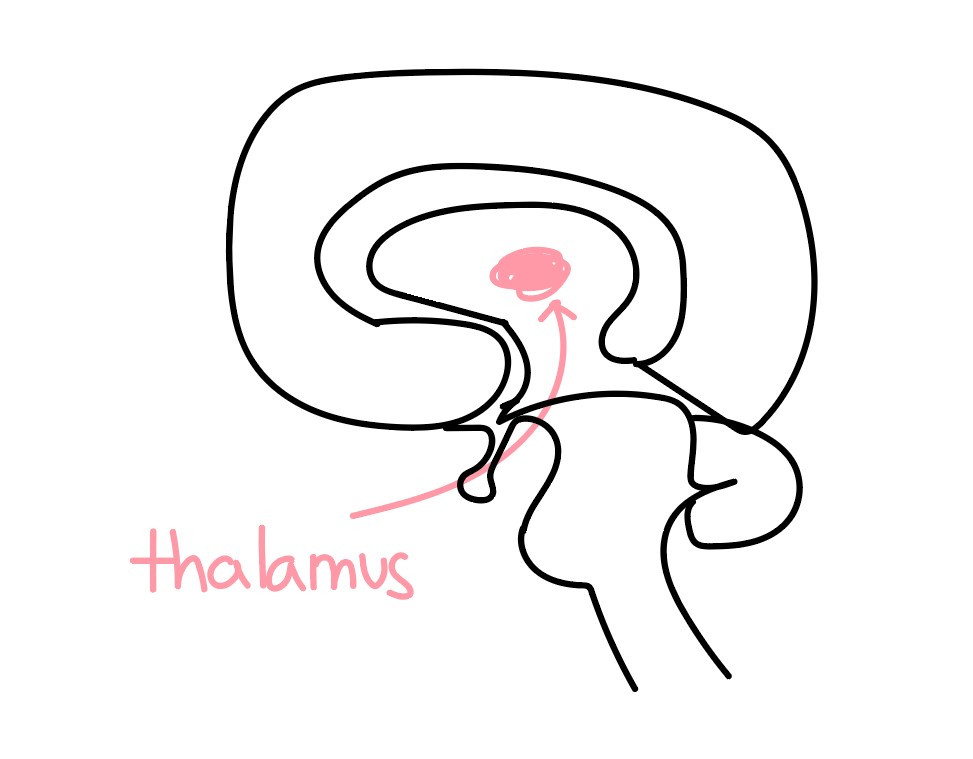 화면 캡처 2020-10-28 031136.jpg