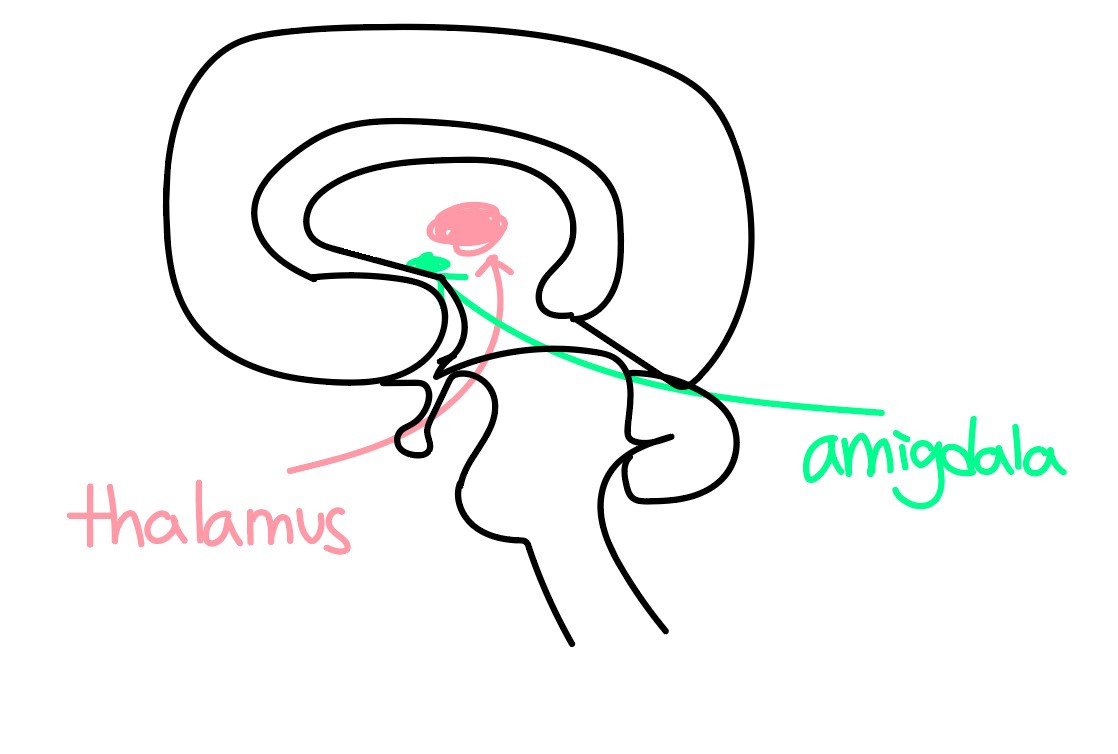 화면 캡처 2020-10-28 031604.jpg