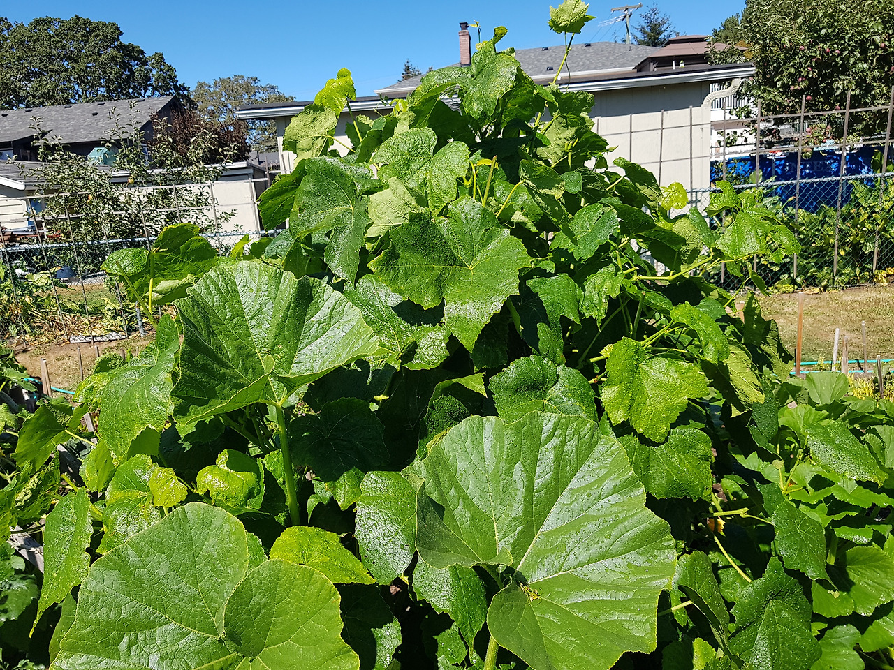 20220903_133026 (1).jpg